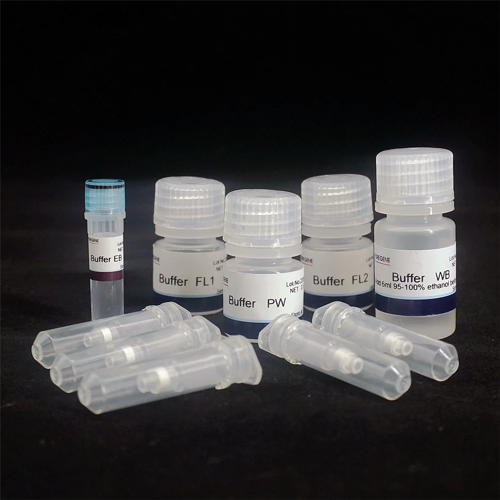 Free sample 5T FFPE DNA Isolation Kit lab reagent for medical and hospital lab use DNA Purification Kit