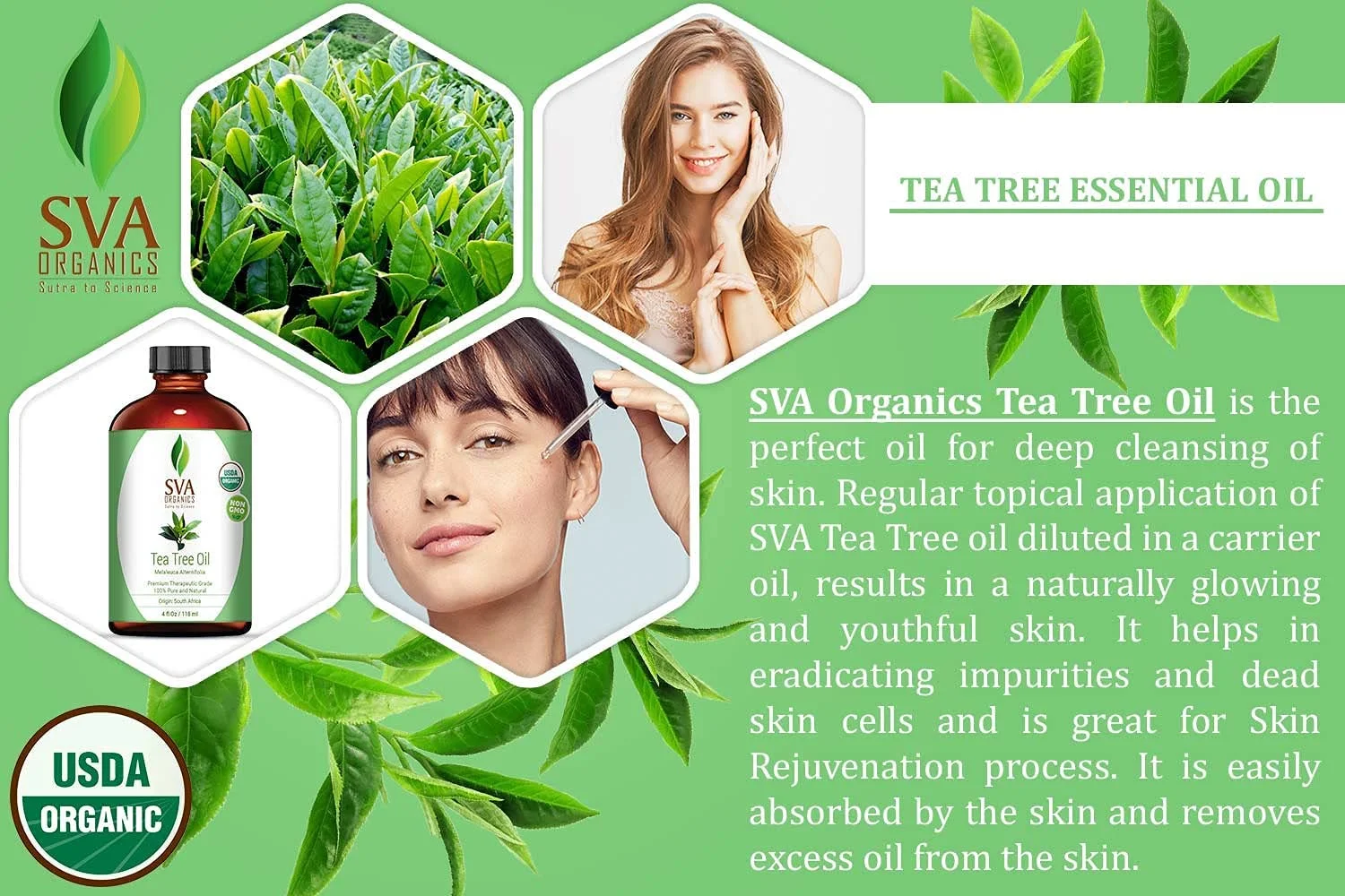 Bulk Wholesale Organic Tea Tree Pure Natural Essential Oil for Skin Care and Aromatherapy Indian manufacturer Cold Pressed Oil