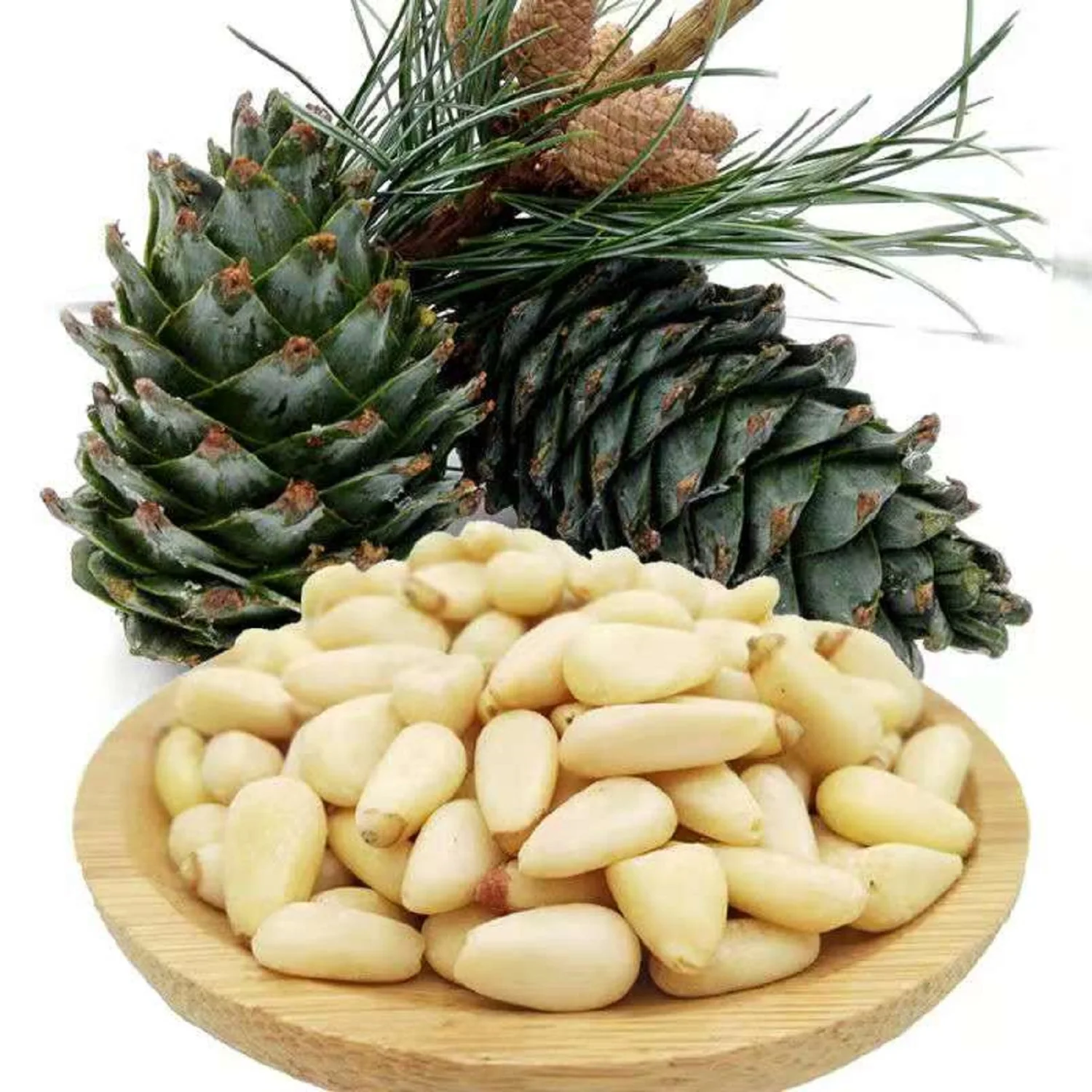 Top Quality Pine Nuts Wholesale Organic Pine Nuts Kernels with Shells 100% clean raw pine nuts