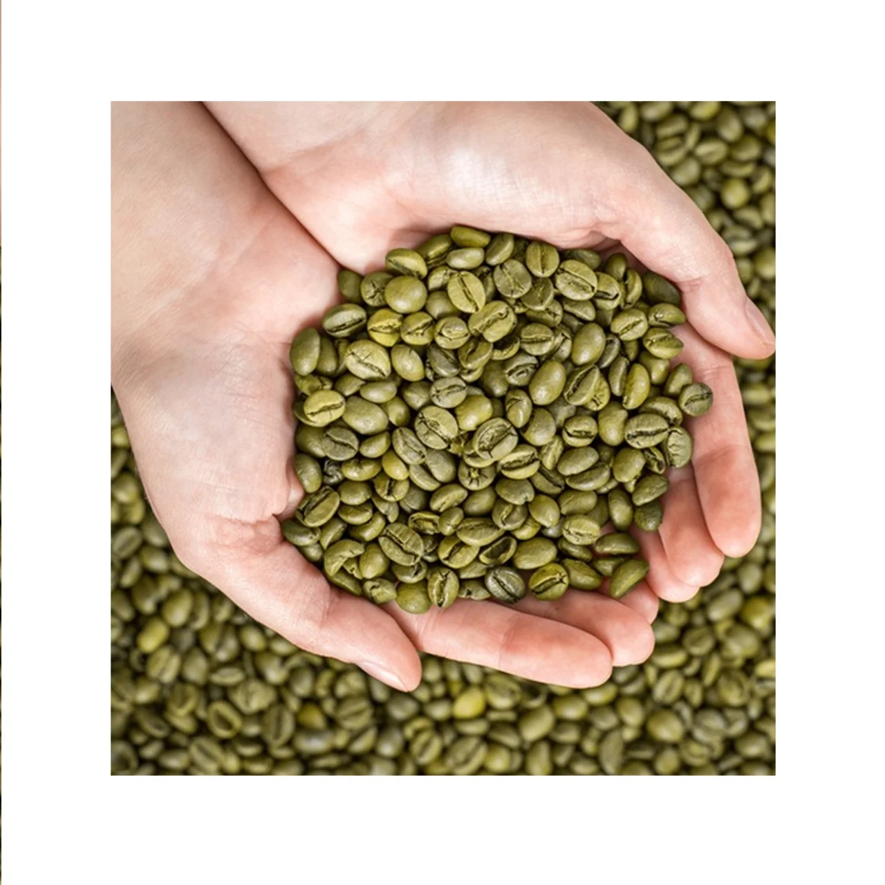 2024 Hot Sale Flavoured Coffee Fruity Beans Mood Enhancer Robusta Coffee Bean Wholesale