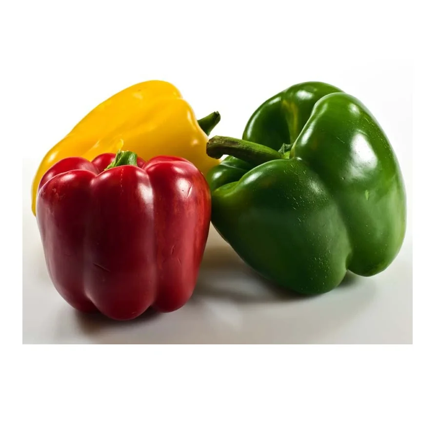 Fresh egyptian capsicum fresh bell pepper egypt high quality fresh sweet pepper cheap price 100% Natural
