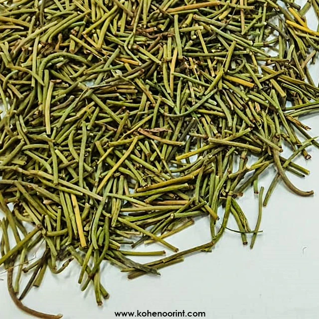 Ephedra ~ Ephedra Green Sticks Ephedra Sinica Ma Haung
