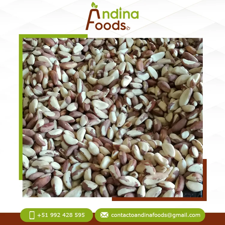 Bulk Distributor Selling Top Quality Fresh Crop Best Protein and Essential Amino Acids Brazil Nuts From Peru