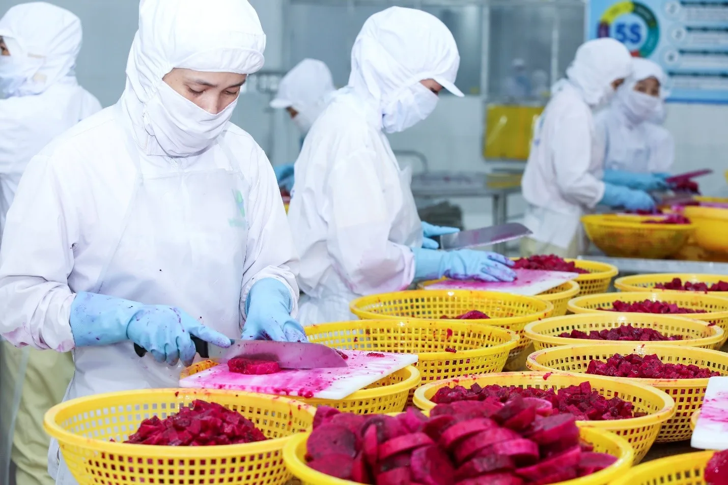 Hot Selling OEM Global Gap Certificate IQF Red Dragon Fruit Dice Water Preservation Process Frozen Pitaya Dices from Vietnam