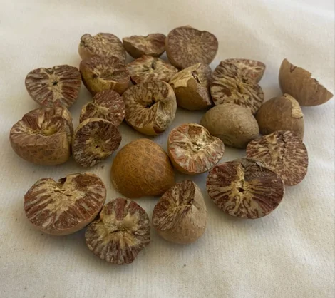 paste-pic-dp_uuid_cknu0