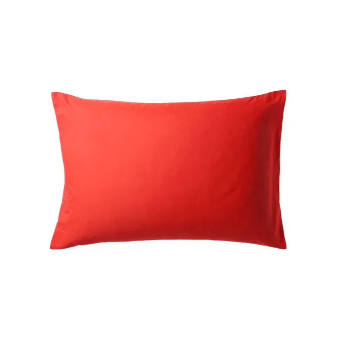 Soft & Comfort Pillow Promotion Hotel Hilton Home 1000G Natural Insert 100% Goose Down Pillow Direct Factory Manufacture From BD