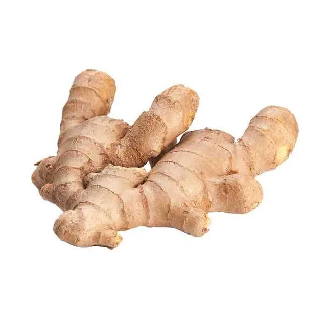 Ginger fresh ginger export high quality new crop in carton for wholesale fresh ginger