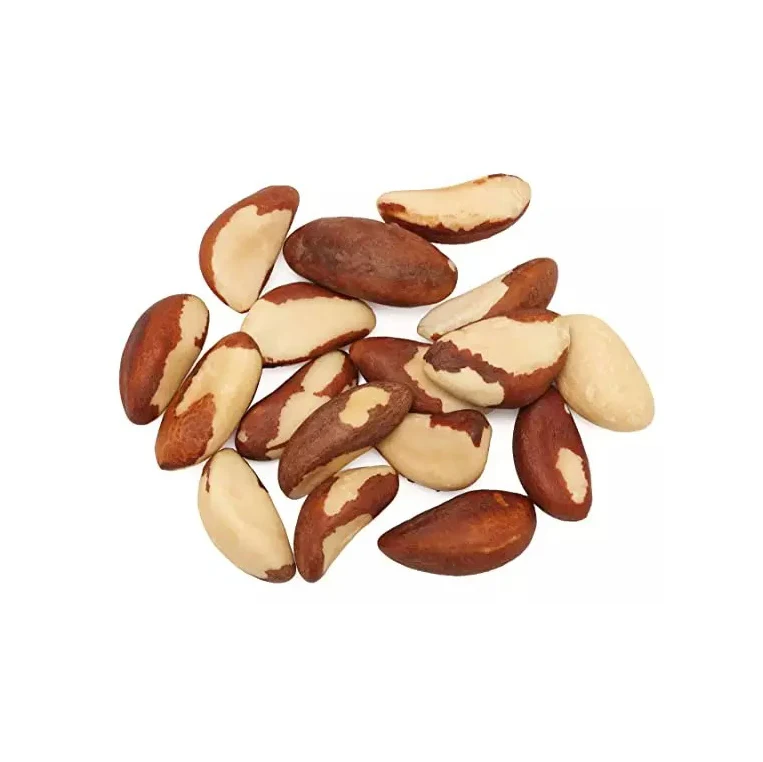 Brazil nut kernels - Tiny size grade above 180 nuts per pound - Shelled Brazil nut kernels
