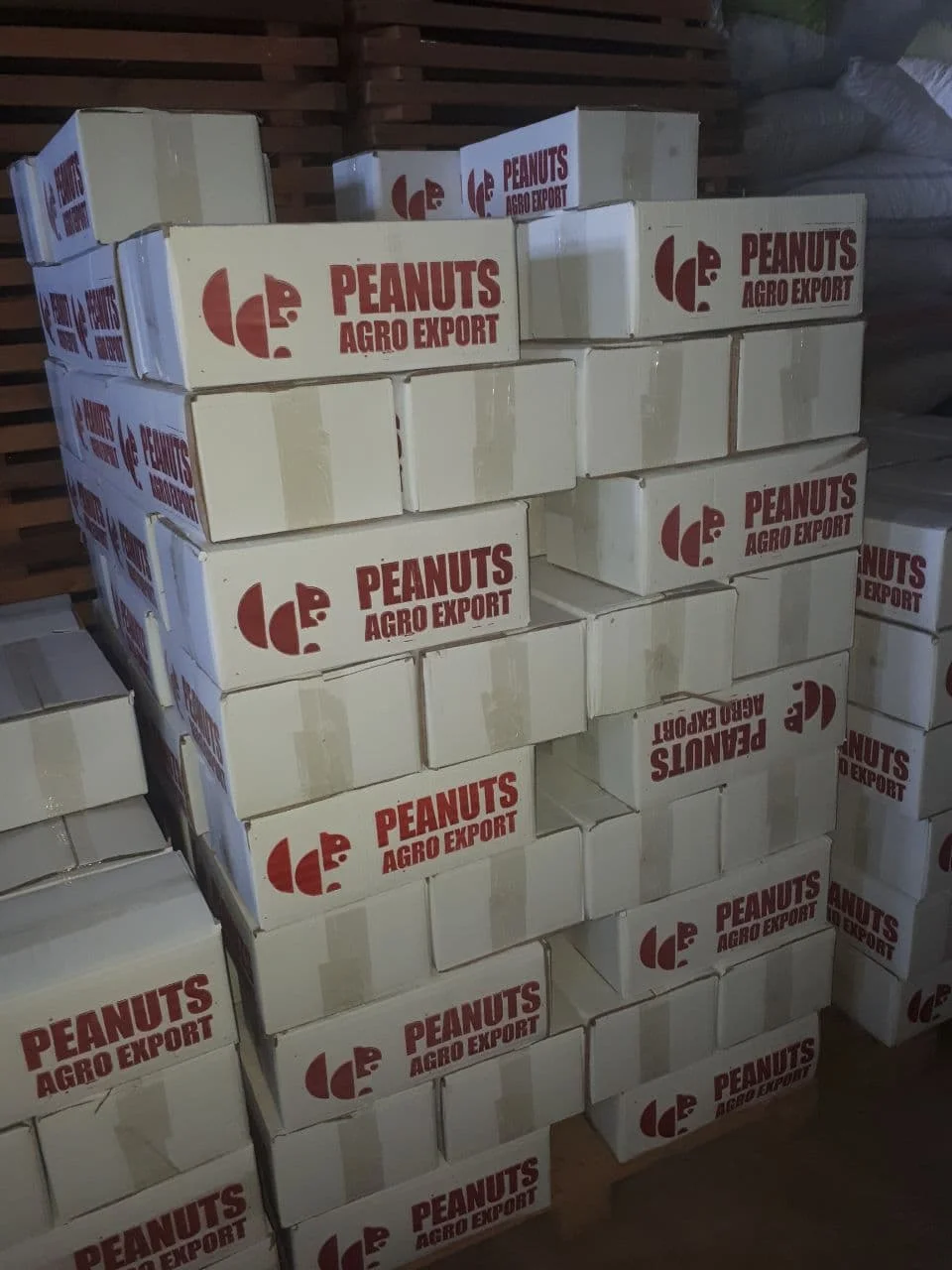 Wholesale Natural Organic First Grade Roasted Peanuts Bulk Pealed Roasted Peanut Laser Sorting Peanuts Nuts & Kernels