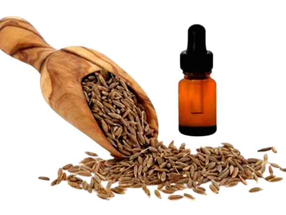 Pure Organic Cumin Seed Oil / Black Seed Oil High in Antioxidants For Multi Type Usable Oils Best Prices By India Suppliers