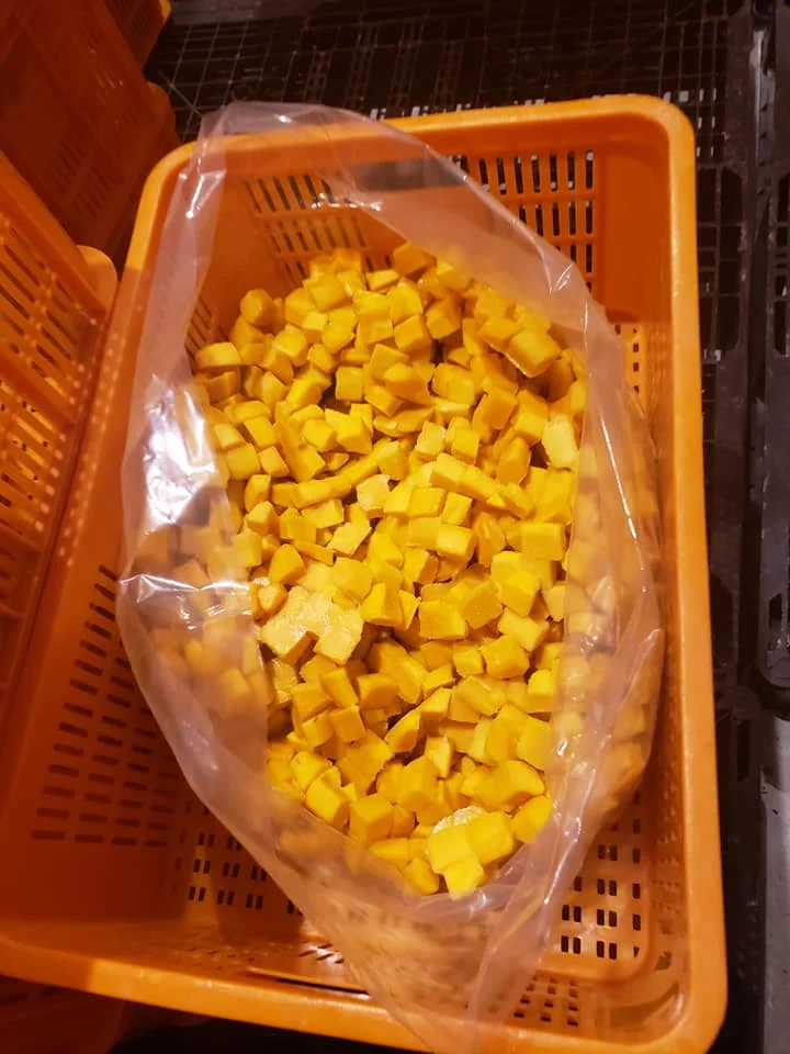 IQF Mango Slice Mango Chunks High Quality From Viet Nam Frozen Mango Stick