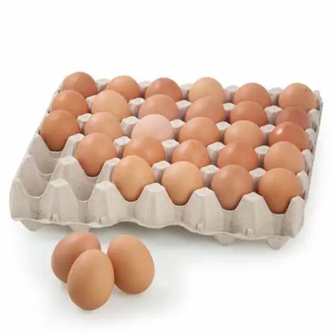 Wholesale Fresh Table Eggs (Chicken eggs) / Fresh table eggs white and brown / Fresh Table Eggs White 40g-50g-60g-65g-70g
