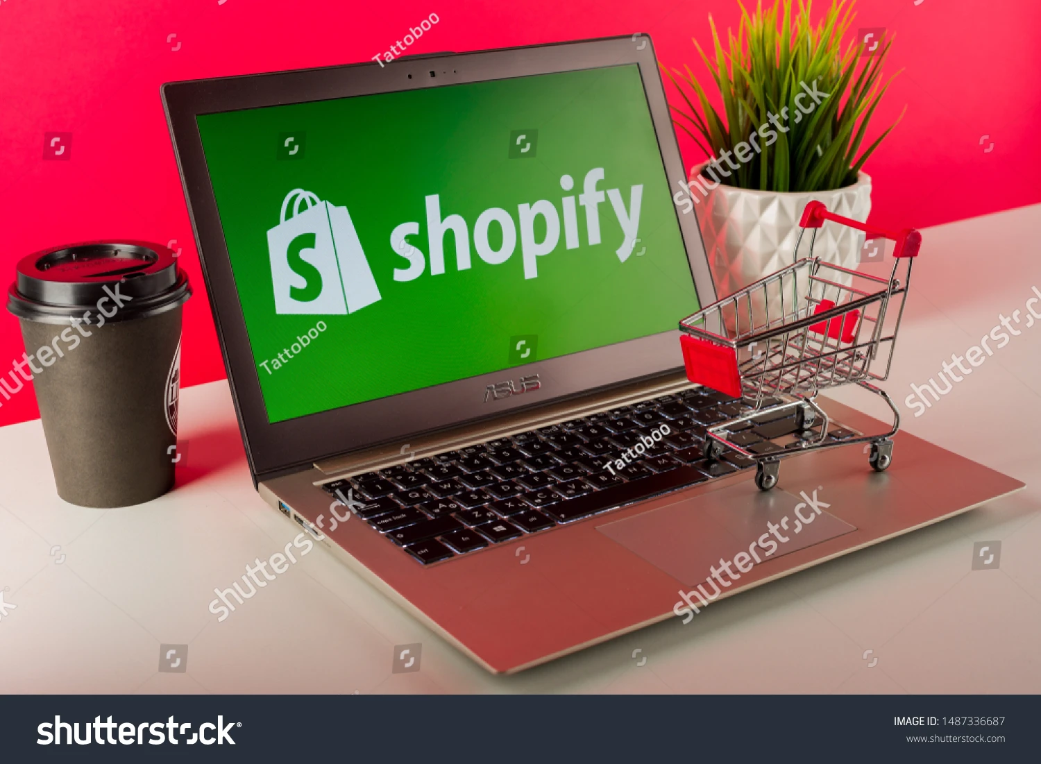 Shopify ecommerce Shopping Website Design and Development in India Website Design Service By two dice web design