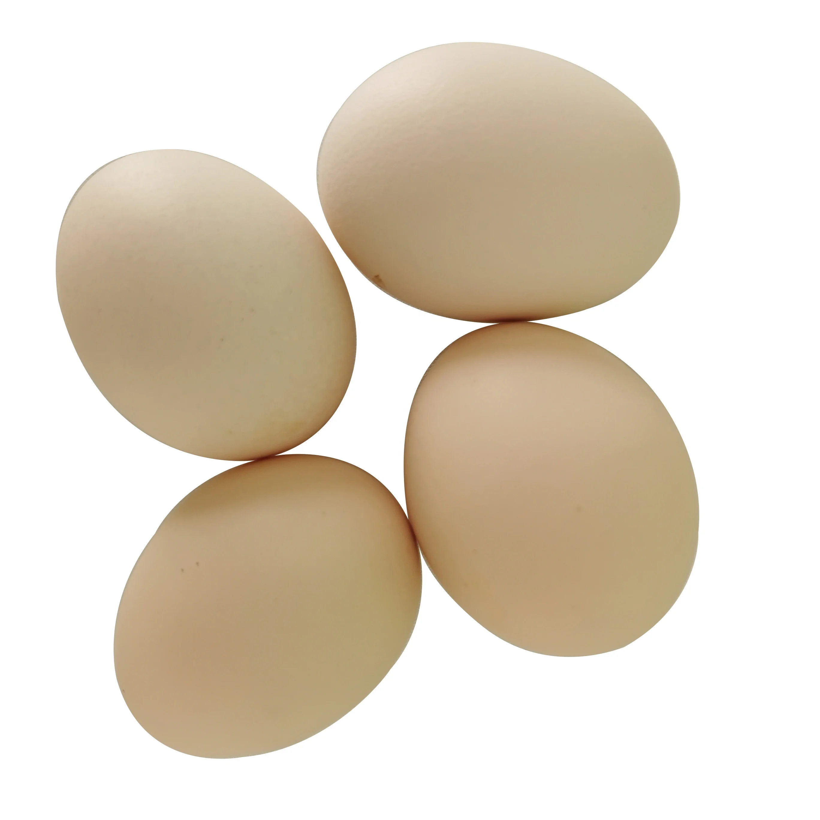 100% Natural Product Fresh Table Eggs For Sale