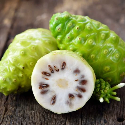 Frozen Noni Fruit Big Size/ Good Quality Frozen Noni Fruit Ms Sophie