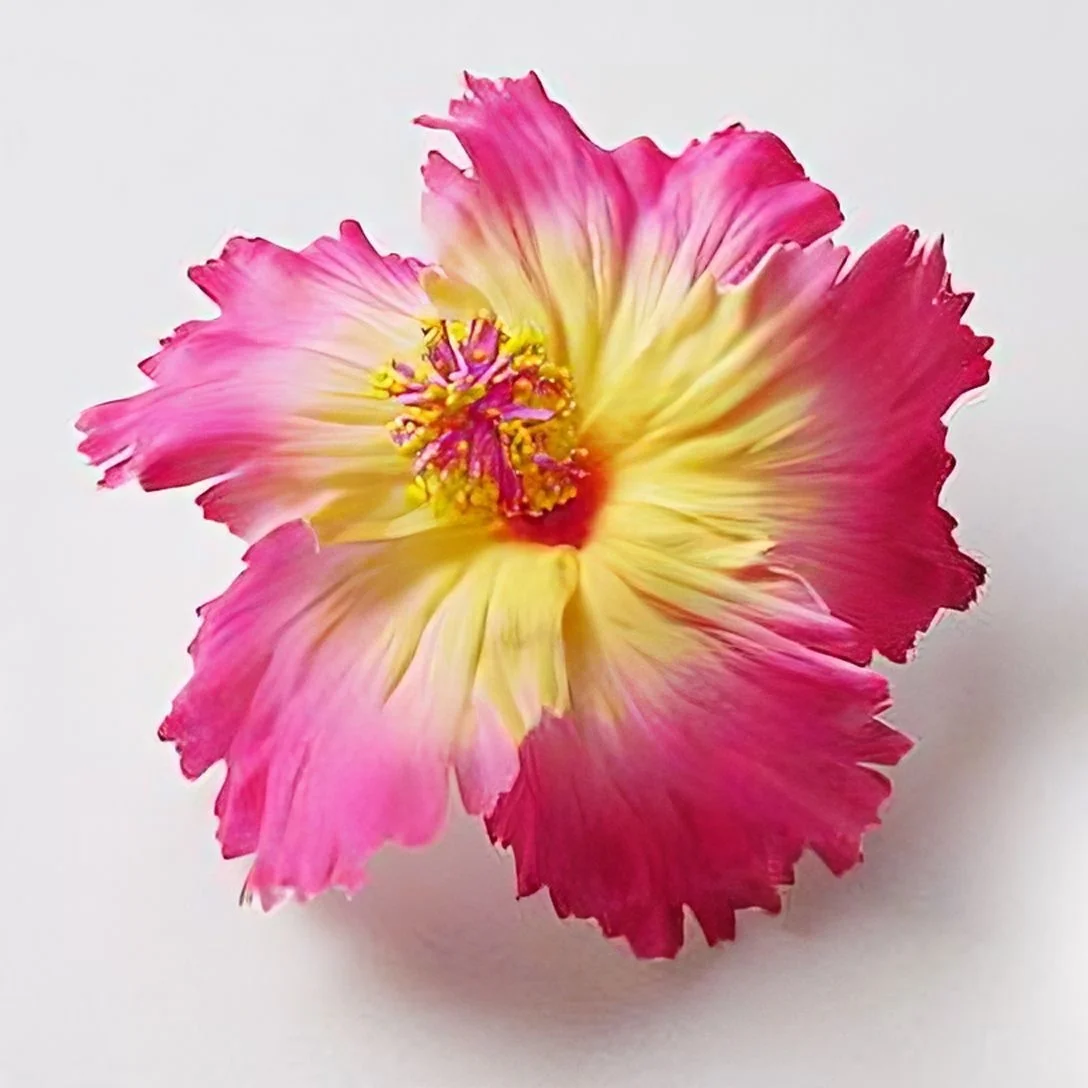 Premium Product of Hibiscus Foam Flower with unique tattoo print pattern (Pack 100 pieces)