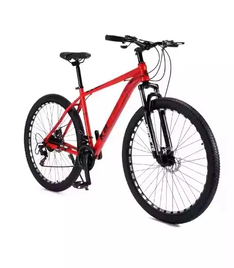 RE 2023 CRUZ 5010 CARBON CC X01 AXS RSV Bike