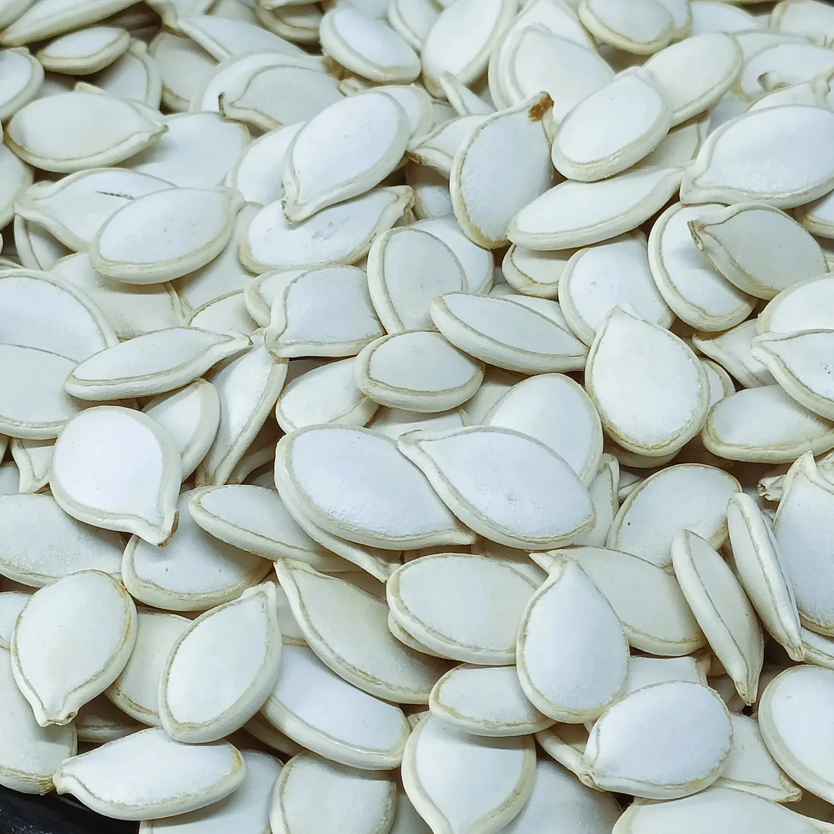 Wholesale White Pumpkin Seeds, Ethiopian Origin, 99% Min Purity, Raw & Natural, Top Selling Product Export Standard Custom Pack