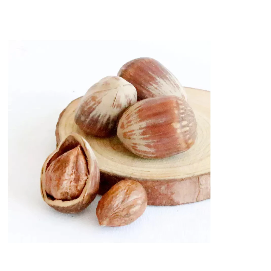 Cheap Price Wholesale Hazelnuts For Sale In bulk