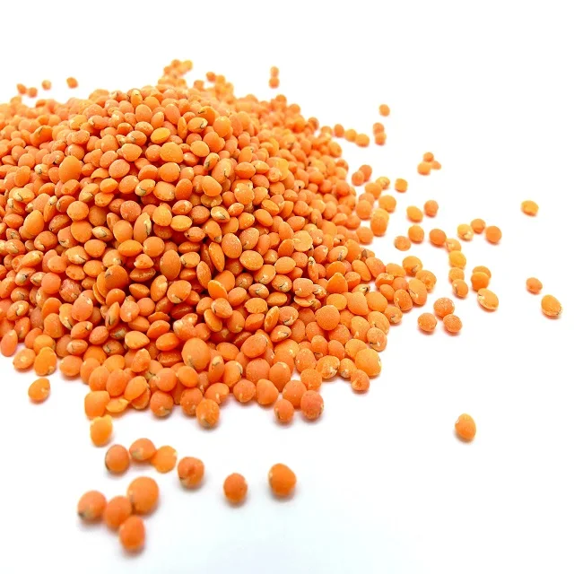 Whole Sale Lentil High Quality Red Letils Canadian Legume