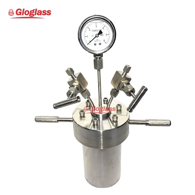 Laboratory Small High Temperature And High Pressure Magnetic Mechanical Stirring Autoclave Reactor