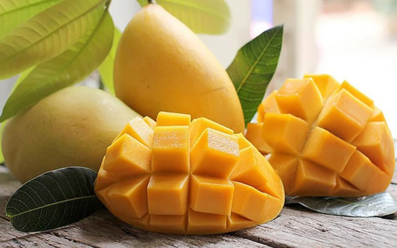 Guaranteed quality 100% Natural Fresh Organic Mango From Vietnam Ready to Export Premium Grade of Fresh Mango Sweet Taste