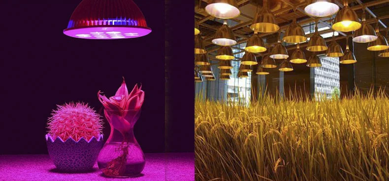 Real Power led 220V IP65 Smart IC 660nm led cob Chip 20W 30W 50W Full Spectrum ac 220v Led COB Chip