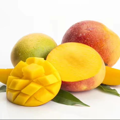 Tasty Natural Fresh Pakistani Mango Sindhri Green and Yellow Mangoes with Customized Packaging Available Yellow Mangoes OEM