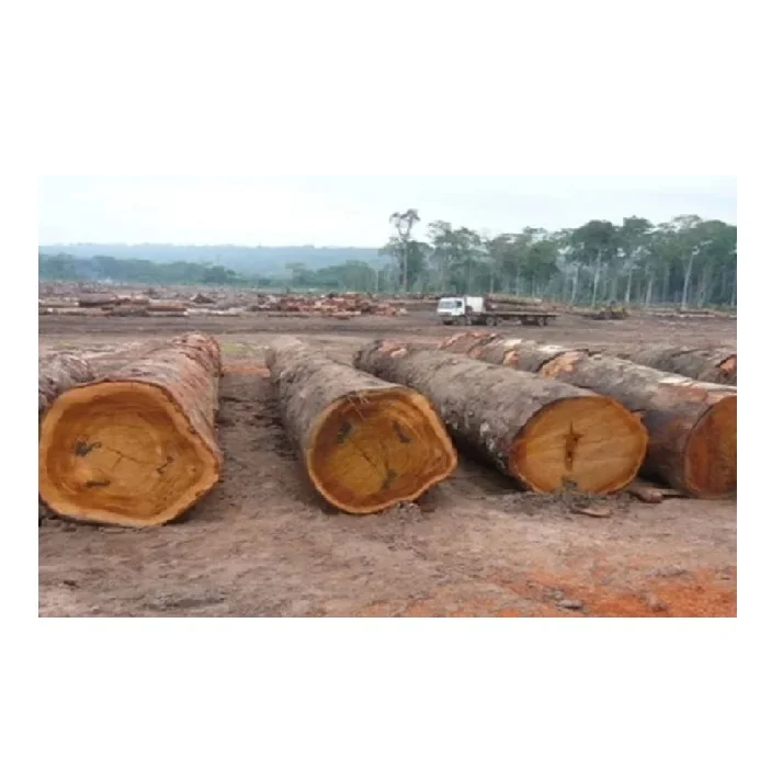 Экономьте на объемных деревянных бревнах Тали идеально подходящих для всех ваших домашних и творческих проектов сегодня