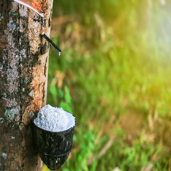 Резина RSS ребристая копченая листовая натуральная RSS1 RSS2 RSS3 4 RSS5 Южная Африка для производства