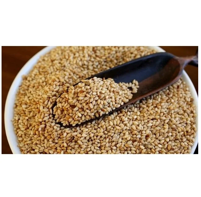 Mondol - Black ,Brown, White, Class A Sesame Seeds For Food And Sesame Oil - Bangladesh Origin