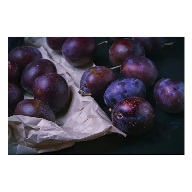 Wholesale Price Fresh Fruits Plums Bulk Stock Available For Sale