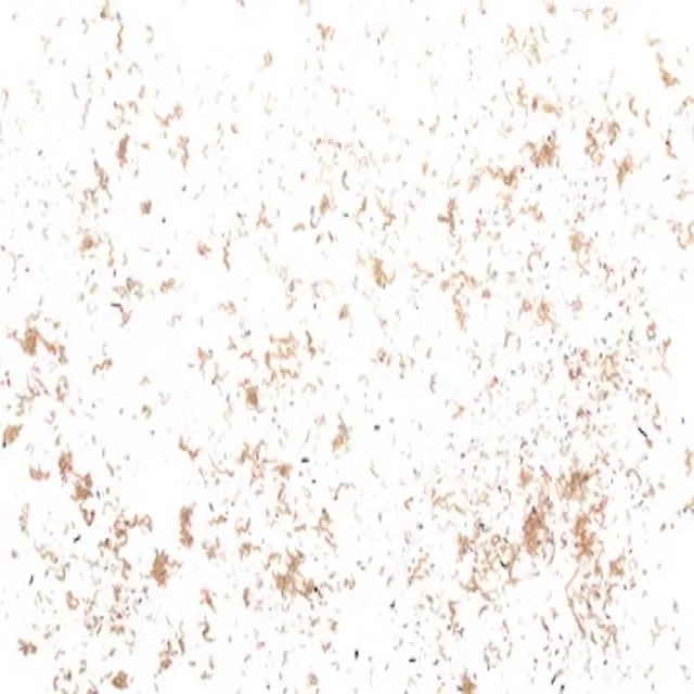 Wood Shavings Block For Animal Bedding