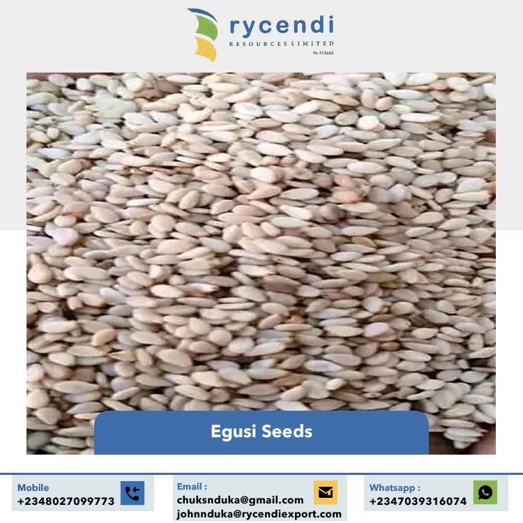 Superior Quality Wholesale Supply Nigeria Origin Export Raw Dried Egusi Seeds / White Melon Seeds for Bulk Buyers