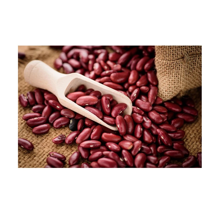Wholesale Supplier Best Quality Red kidney Beans For Sale In Cheap Price Best Quality Red kidney Beans For Sale In Cheap Price