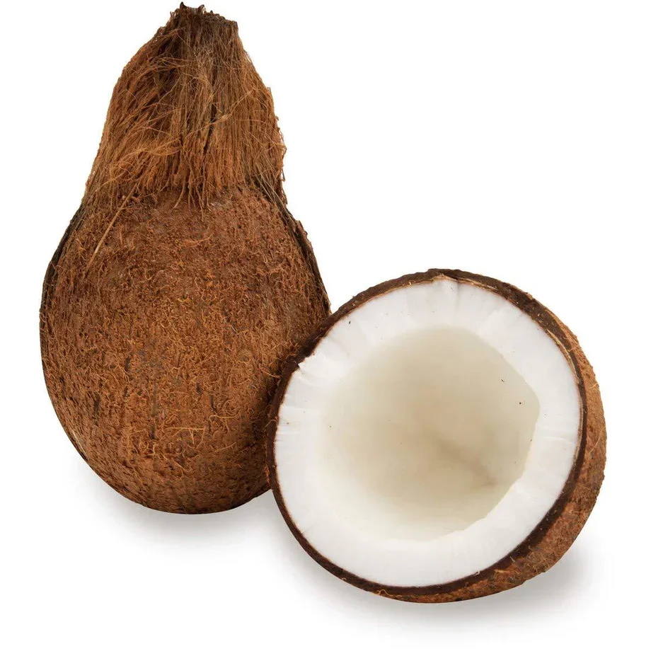 Export Fresh Mature Husked Coconut From Malaysia