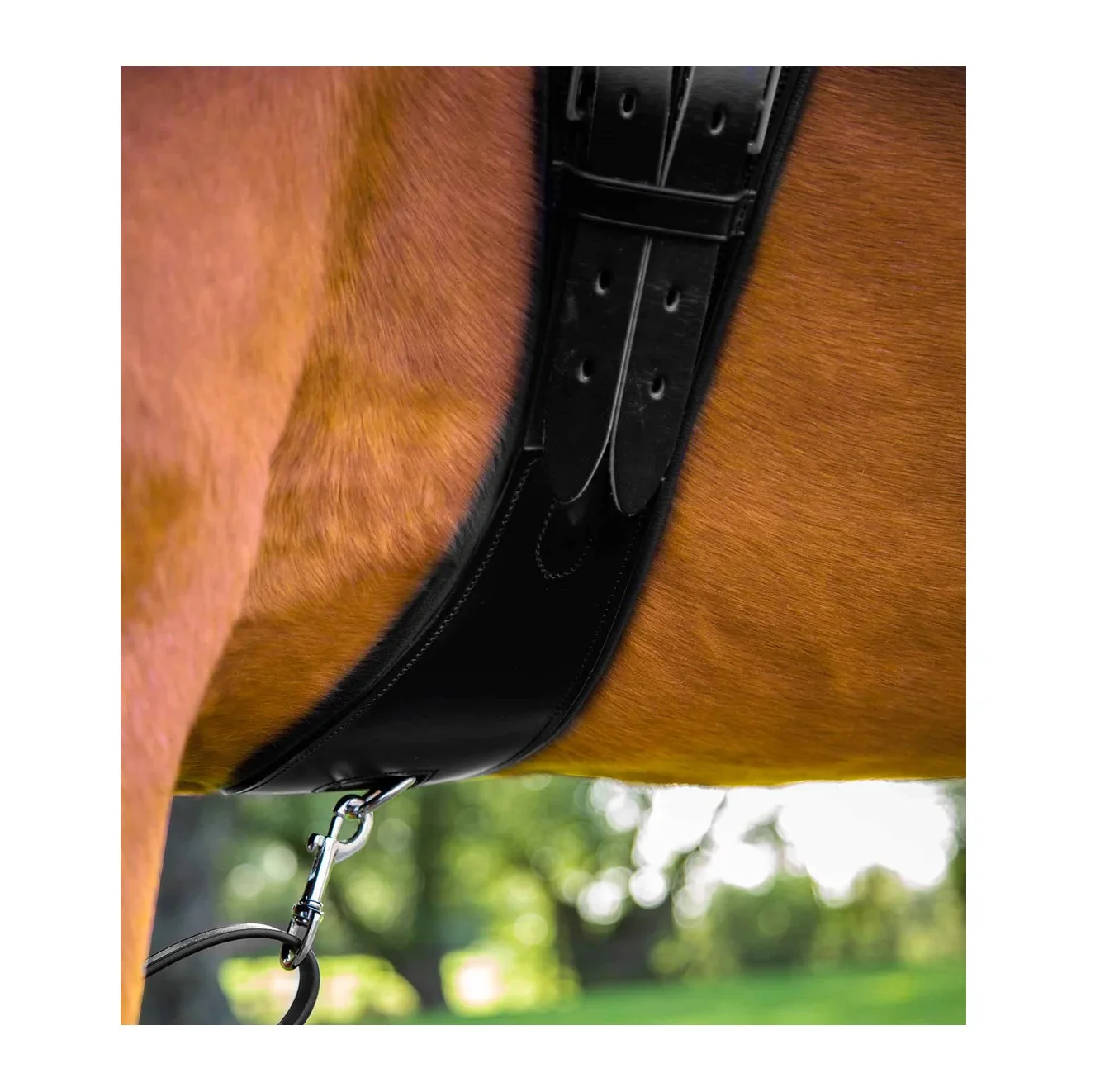 Standard Quality Italian Leather Construction Horse Girth With Specifically Designed for Dressage Saddle