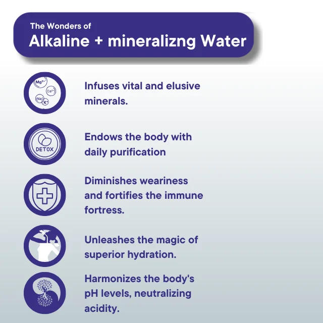 Excellent Affordable Alkaline Water Bioplus AA Stainless Steel Stick NSF Certified Ceramic Media