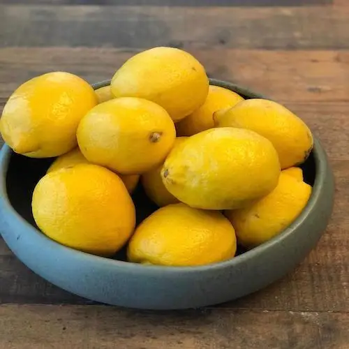 Fresh Organic Lemon Crop EU Harvest Seedless New Crop Healthy Green Fruit Lemon Juice Cocktails 10kg Cartons Natural Healthy