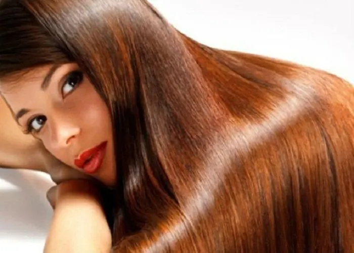 Best Quality Herbal Henna Powder Manufacturer & Exporters in India/No PPD