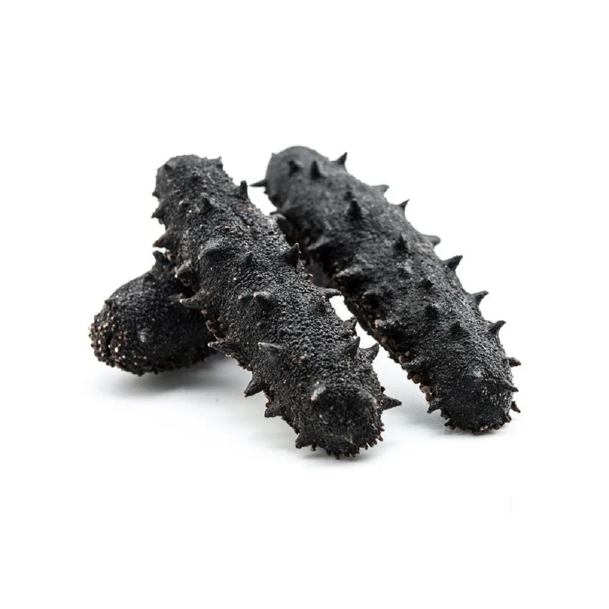 High Grade Wholesale Sea Cucumber Dried Sea Cucumber