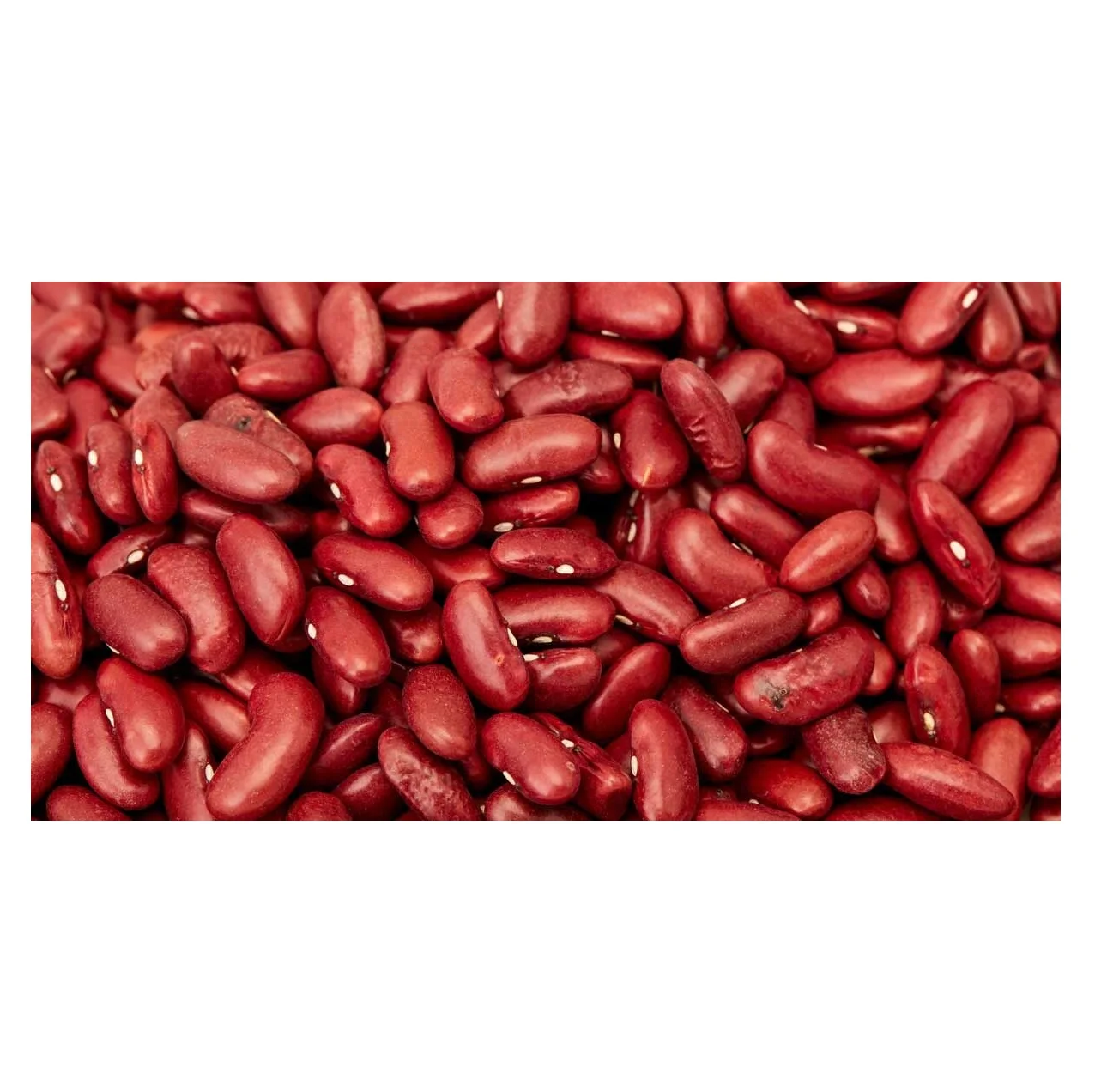 Красная фасоль, Органическая сушеная мелкая темно красная фасоль, покупатель (Rajma)