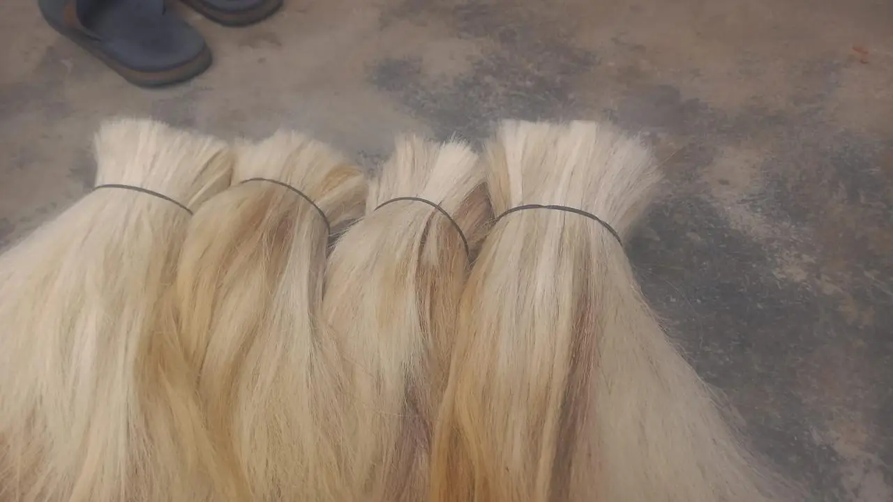High Quality Goat Hair / Goat Long Hair the Raw Material Natural Goat hair at beast quality