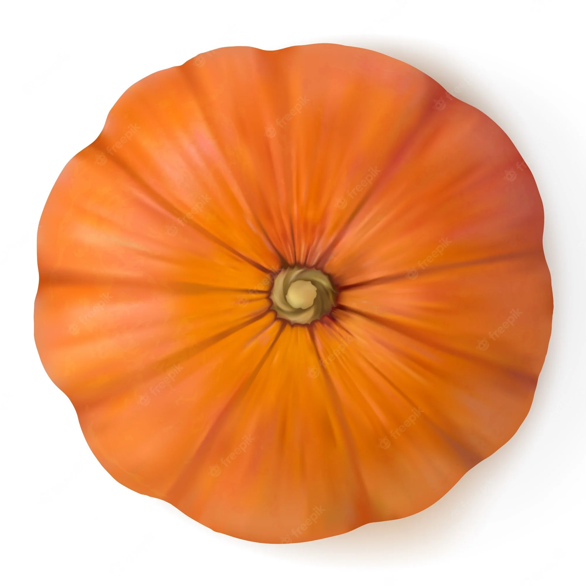 pumpkin - Pumpkin Fresh and everything nice.