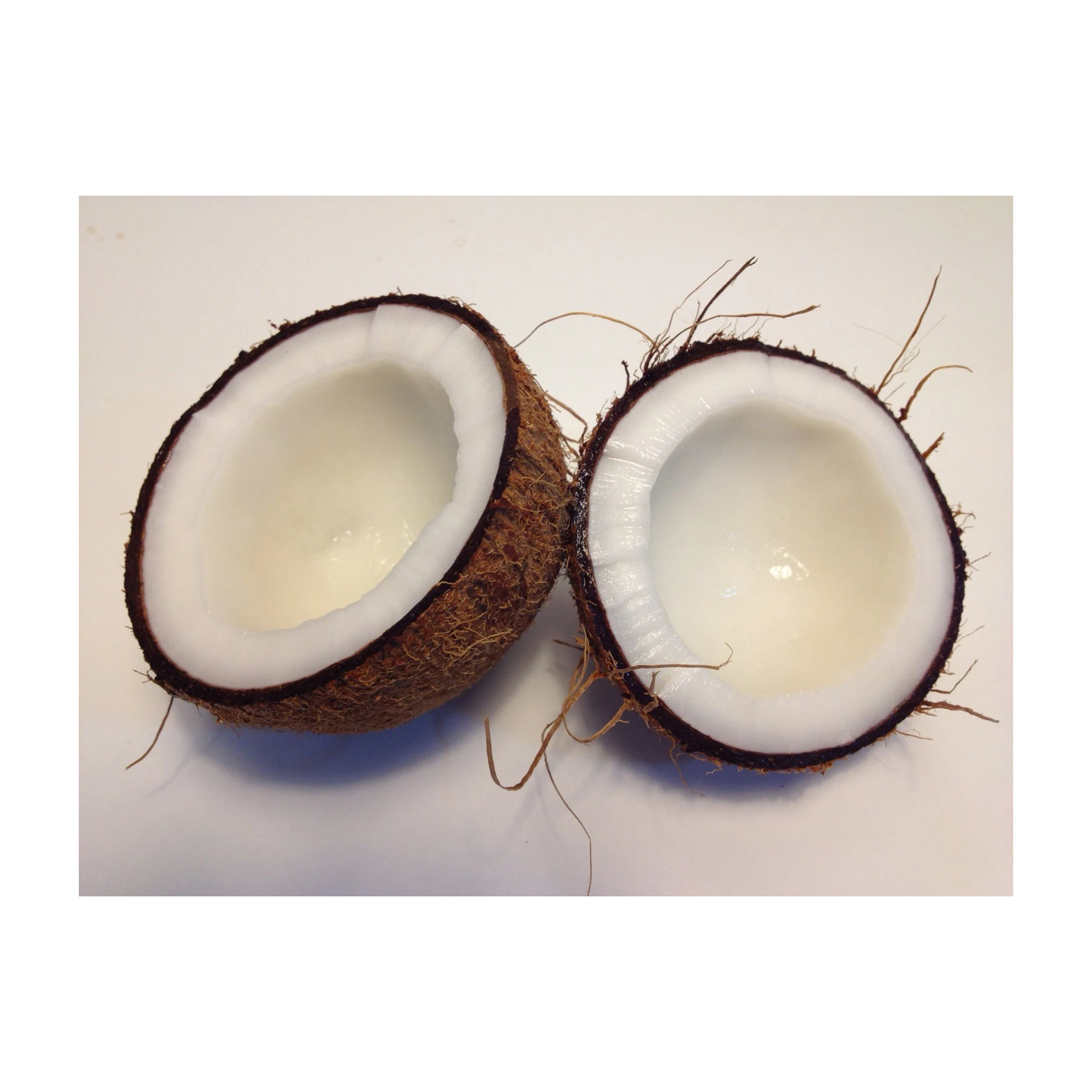 Top Quality 100% Fresh Natural Organic Desiccated Coconut