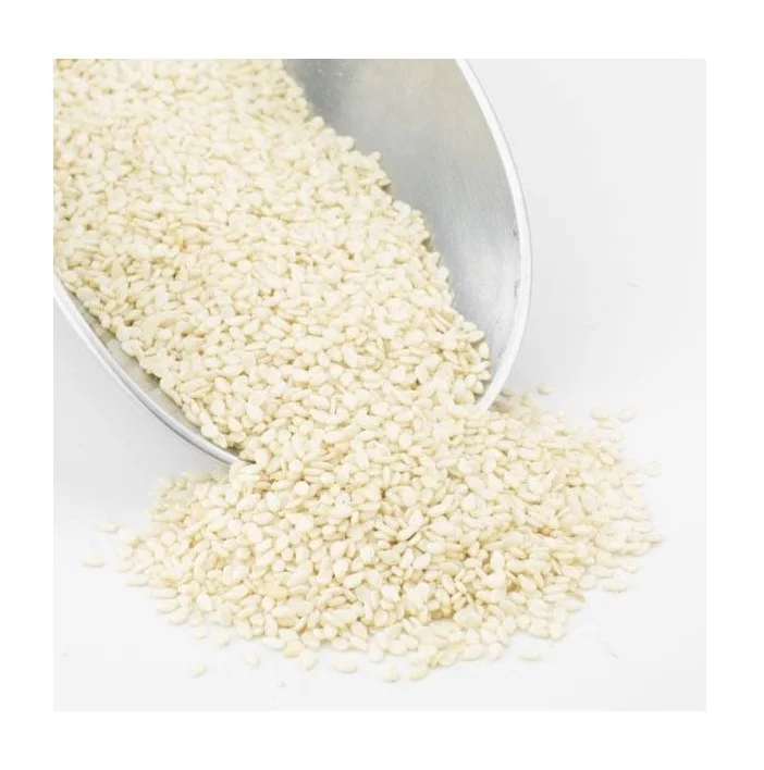 Hot Selling 100% Pure Organic White Hulled Sesame Seeds Natural Raw Bulk for Food Use Dried Style