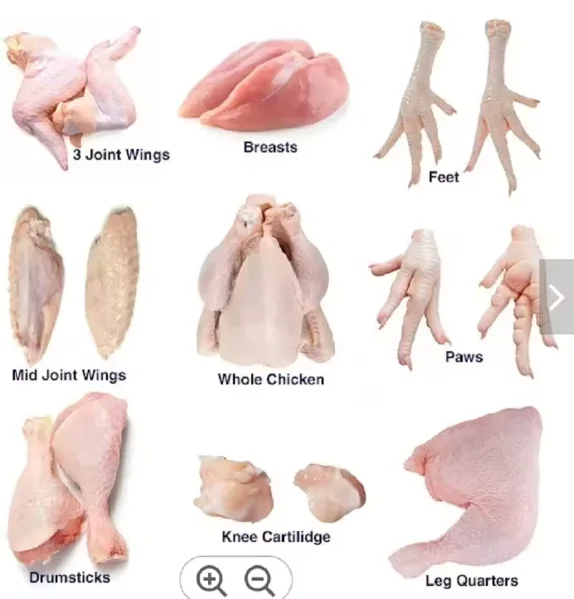New stock Halal Frozen Chicken Feet Paws Breast / Frozen Whole Chicken / Frozen Chicken Legs and Wings