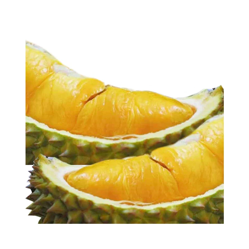 Premium High Class Fresh D24 Durian (Fresh Fruit) with Creamy Texture Has A Wholesome Yeasty Sweetness