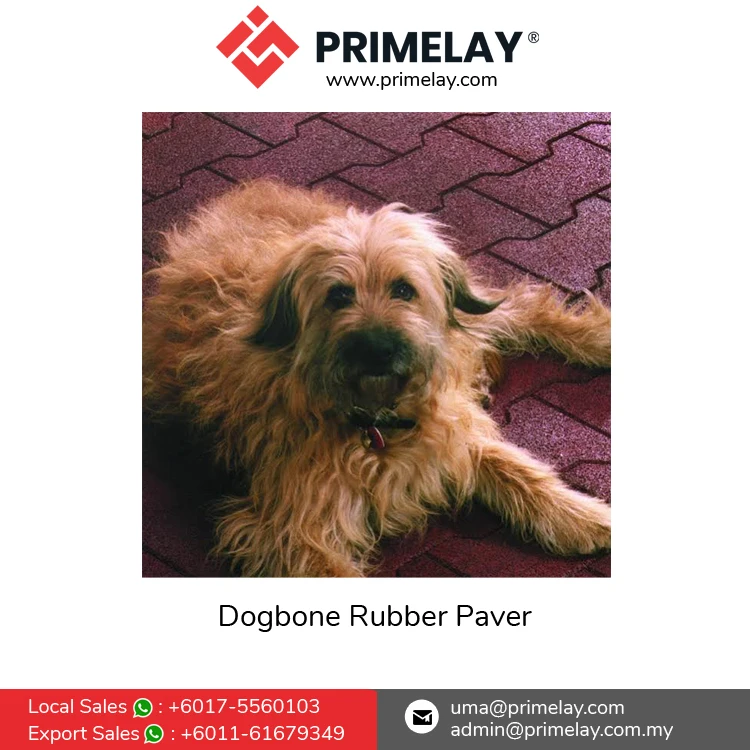 Easy Interlocking Design Heavy Duty Dogbone Shape Crumb Rubber Pavers for Walking Trails, Athletic Fields, Amusement Parks