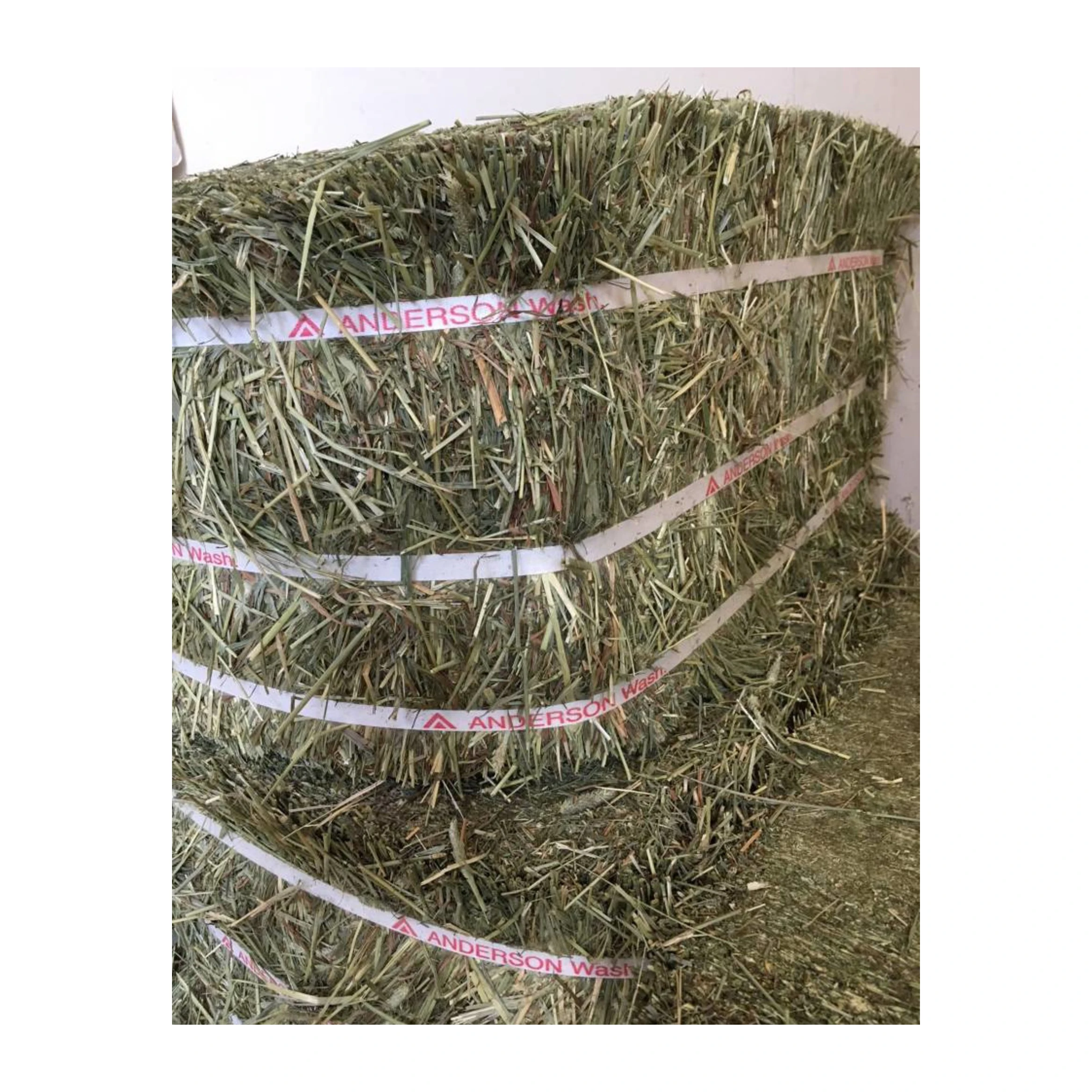 Top Quality alfalfa hay/Timothy Alfalfa Hay/ Cheap Alfalfa Hay for Animal Feeding Stuff alfalfa-hay-